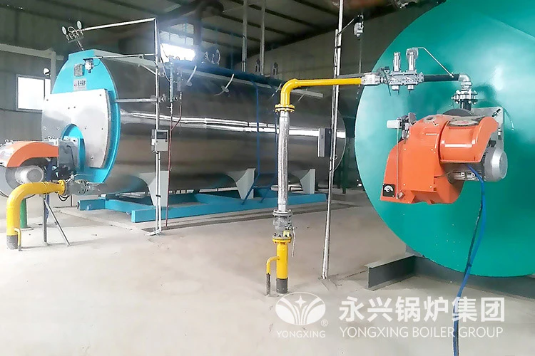 Biomass boiler case
