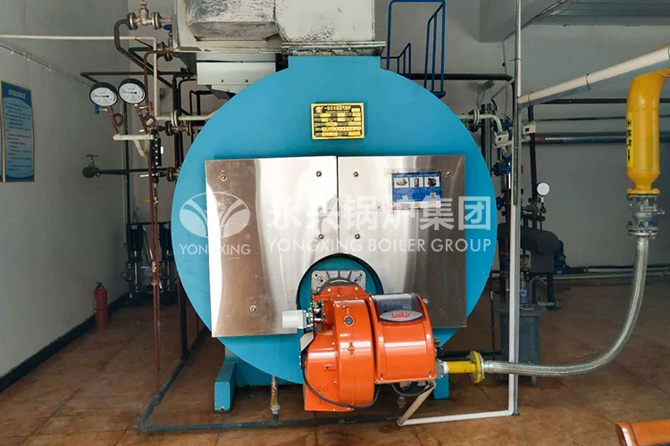 Biomass boiler case