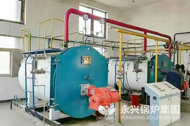 Biomass boiler case