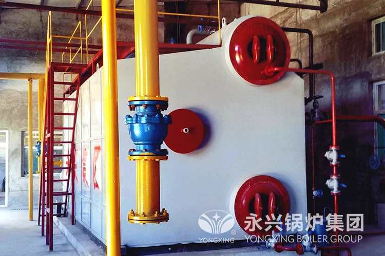 Biomass boiler case
