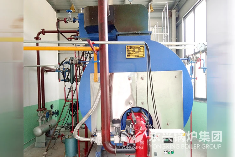 Biomass boiler case