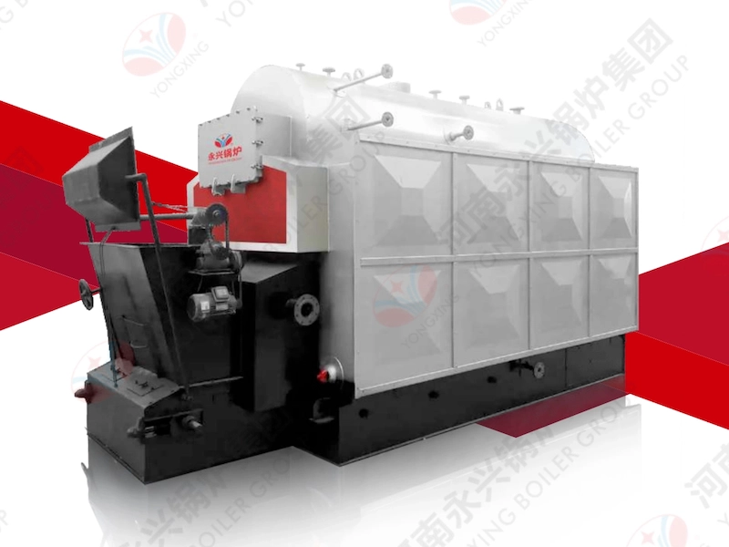 DZL Coal/Biomass Fired Boiler