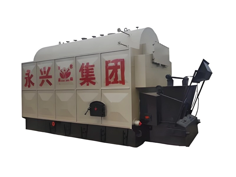 DZL Coal/Biomass Fired Boiler